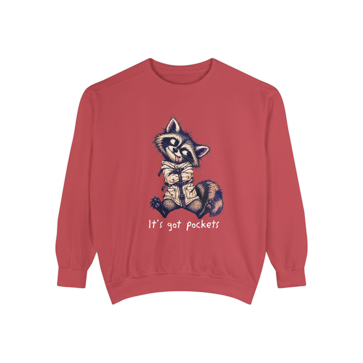 It’s Got Pockets Raccoon Sweatshirt