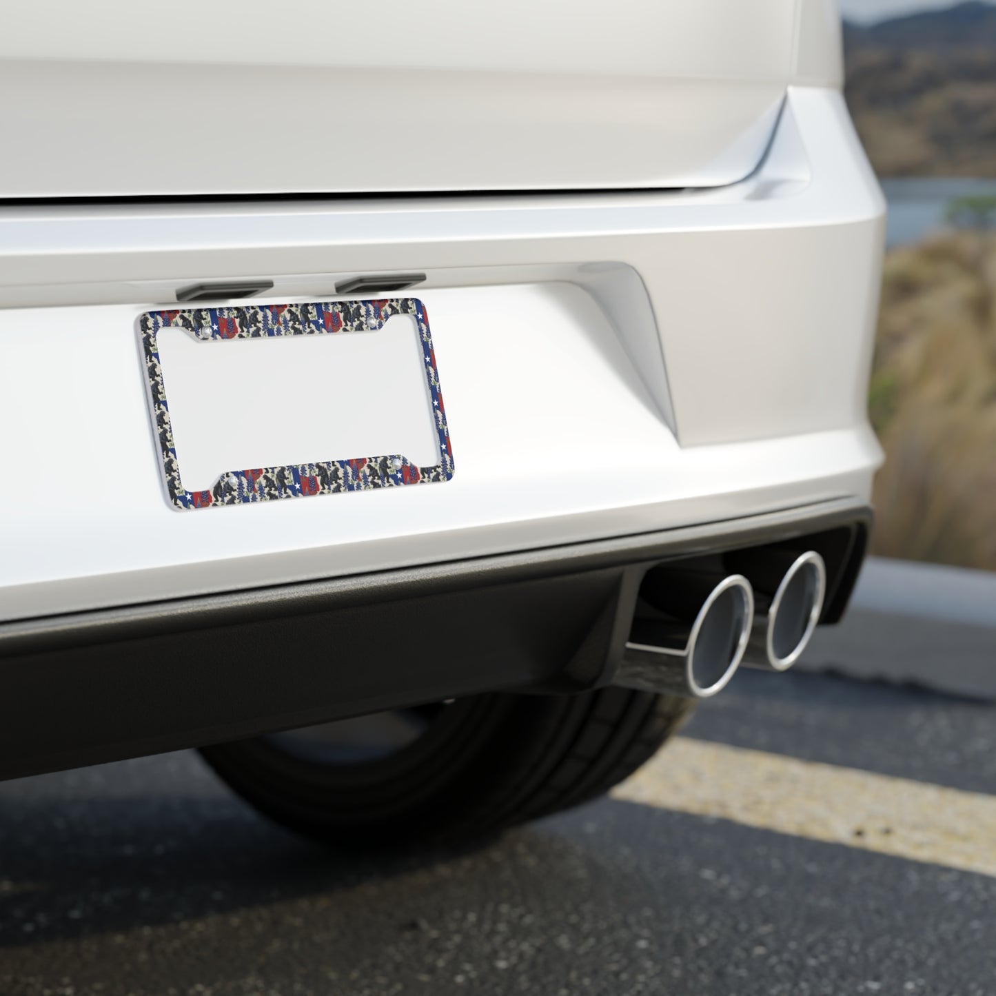 Texas Godzilla License Plate Frame | Bluebonnets Texas Flag Car Accessory